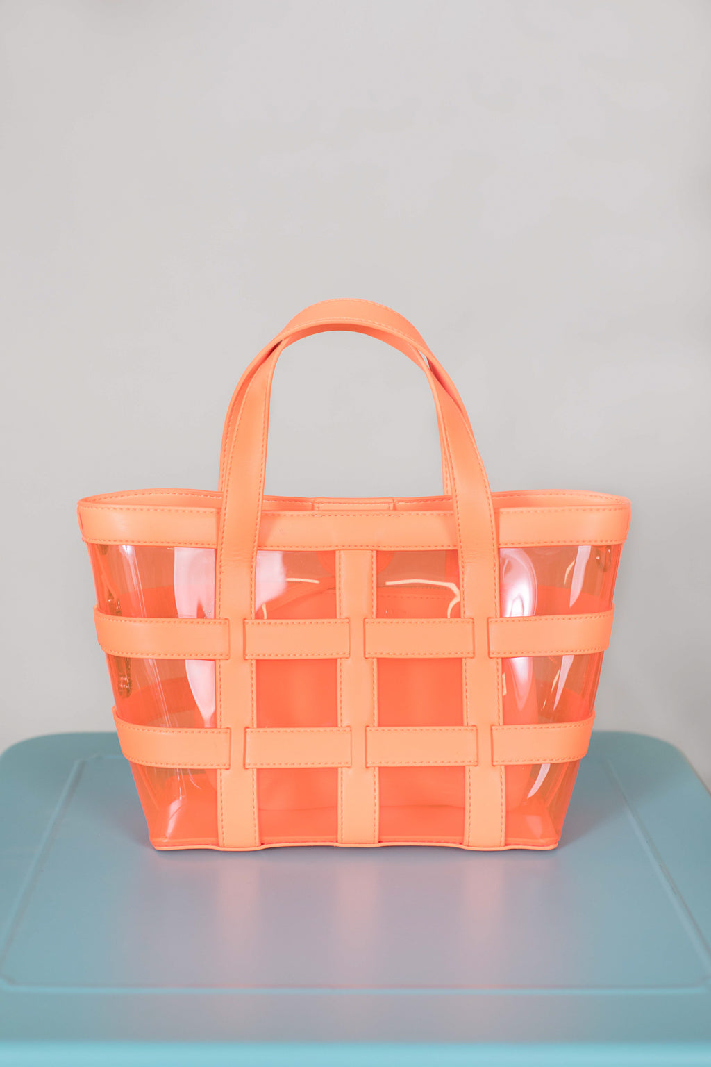 Caged See-through Tote Bag