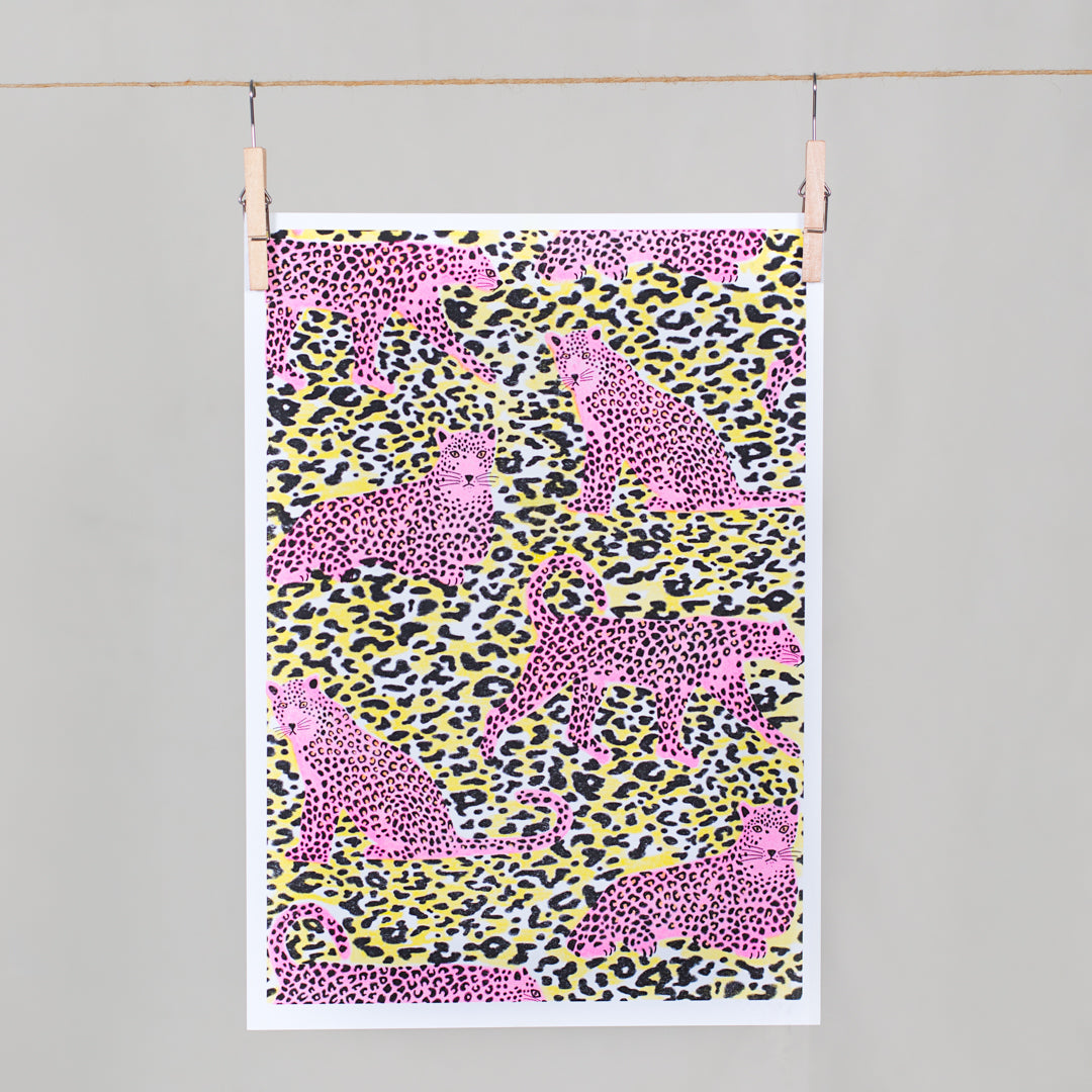 Facebook Analogue Programme Series: Leopards