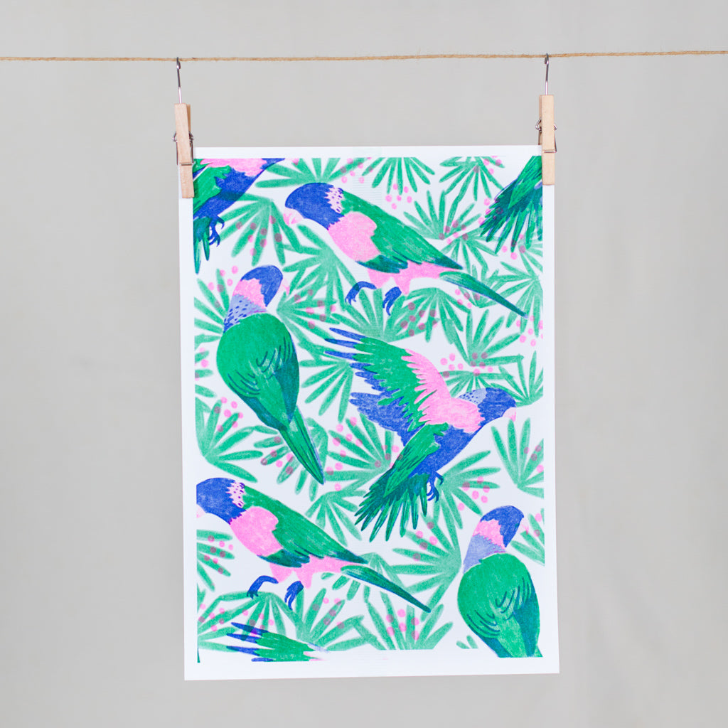 Facebook Analogue Programme Series: Parrots